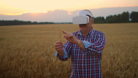 Ein-älterer-Mann-Mit-Virtual-Reality-Brille-Inspiziert-Mit-Gesten-Eine-Weizenbürste.-Stellen-Sie-Sich-Auf-Ein-Getreidefeld-Und-Verwenden-Sie-Gesten-In-Einem-VR-Helm
